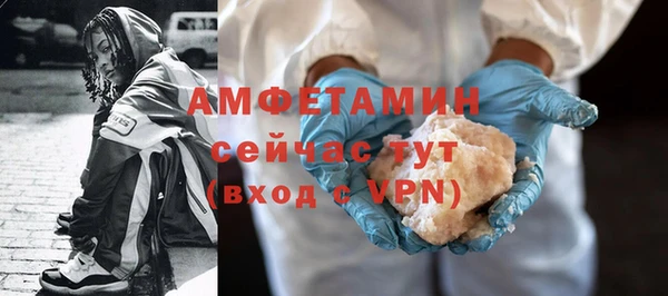 амф Ладушкин