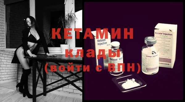 прущие грибы Лабытнанги