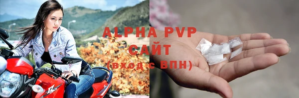 прущие грибы Лабытнанги