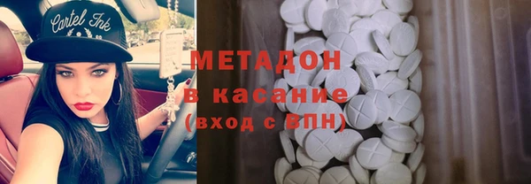 прущие грибы Лабытнанги