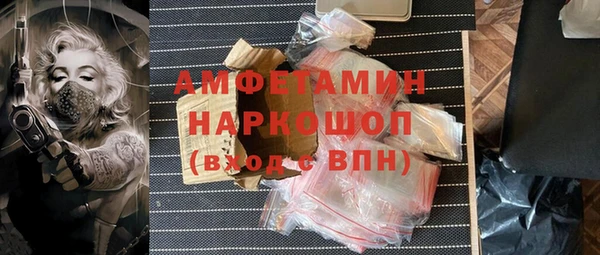 прущие грибы Лабытнанги