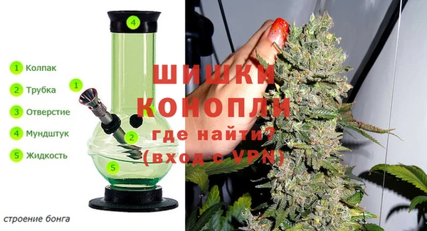 амф Ладушкин
