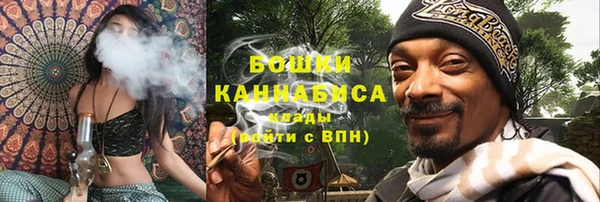 амф Ладушкин