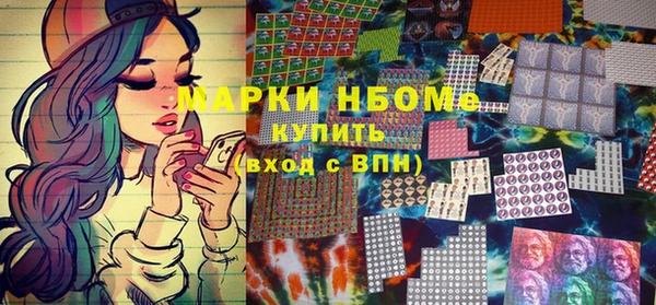 прущие грибы Лабытнанги