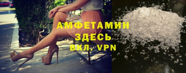 прущие грибы Лабытнанги