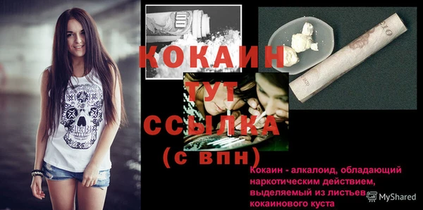 амф Ладушкин