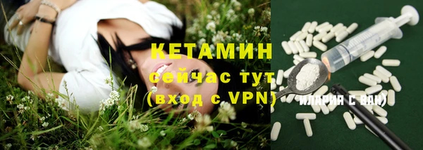 прущие грибы Лабытнанги