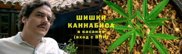 прущие грибы Лабытнанги