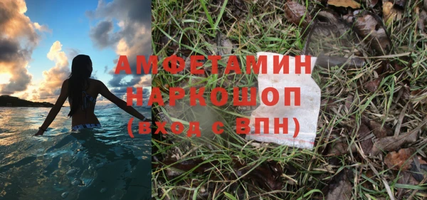 прущие грибы Лабытнанги