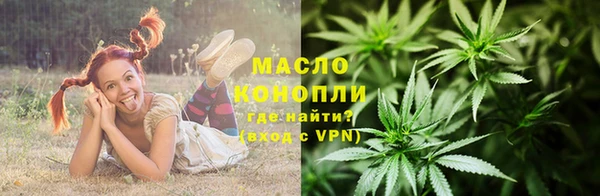 прущие грибы Лабытнанги