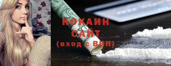 амф Ладушкин