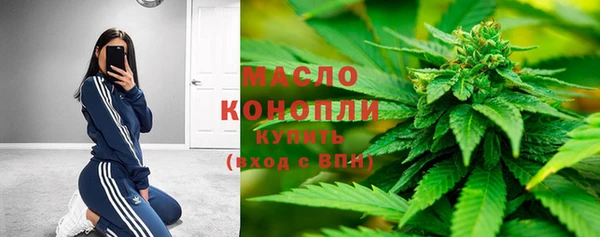 прущие грибы Лабытнанги