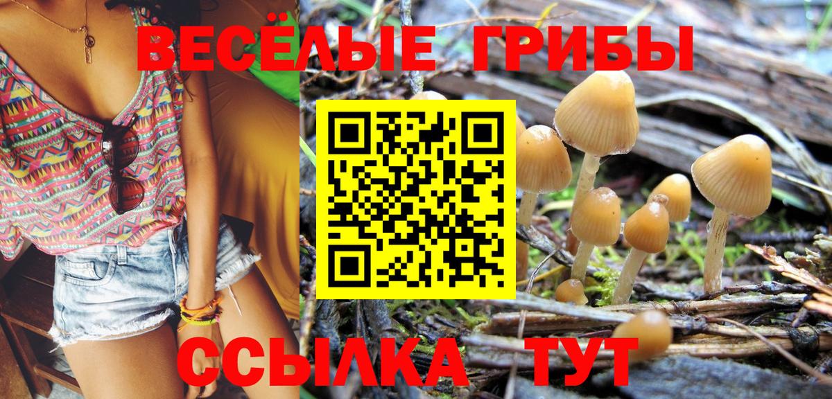 Нарьян-Мар  Галлюциногенные грибы Magic Shrooms  Вход с VPN  Псилоцибиновые грибы мухоморы 